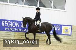 23R13_06194 thumbnail