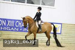 23R13_06197 thumbnail