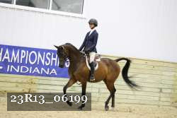 23R13_06199 thumbnail