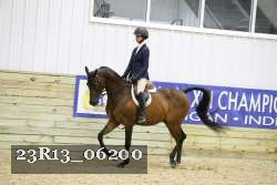 23R13_06200 thumbnail