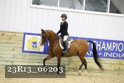 23R13_06203 thumbnail
