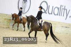 23R13_06205 thumbnail