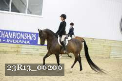 23R13_06206 thumbnail