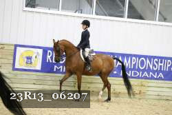 23R13_06207 thumbnail
