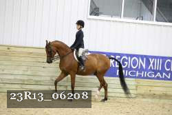 23R13_06208 thumbnail