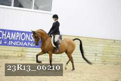 23R13_06210 thumbnail