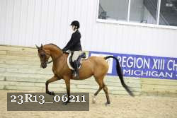 23R13_06211 thumbnail