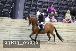 23R13_06236 thumbnail