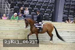 23R13_06237 thumbnail