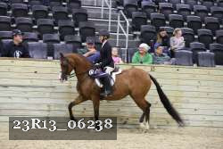 23R13_06238 thumbnail