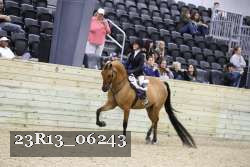 23R13_06243 thumbnail