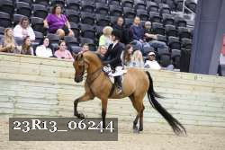 23R13_06244 thumbnail