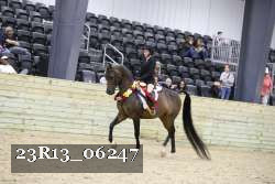 23R13_06247 thumbnail
