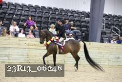 23R13_06248 thumbnail