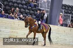 23R13_06250 thumbnail
