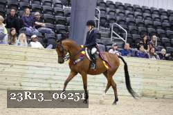 23R13_06251 thumbnail