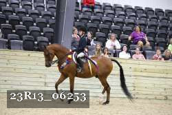 23R13_06253 thumbnail