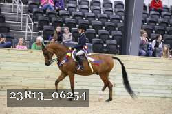 23R13_06254 thumbnail