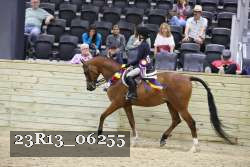 23R13_06255 thumbnail