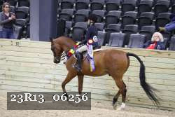 23R13_06256 thumbnail