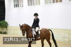 23R13_06317 thumbnail