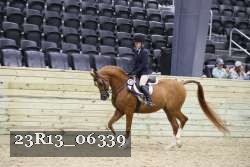 23R13_06339 thumbnail