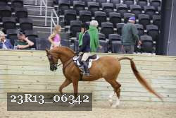 23R13_06342 thumbnail