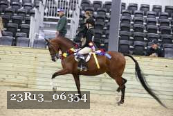 23R13_06354 thumbnail