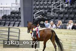 23R13_06356 thumbnail