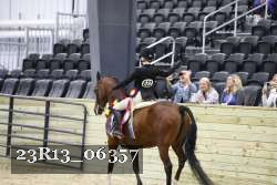 23R13_06357 thumbnail