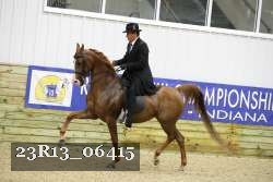 23R13_06415 thumbnail