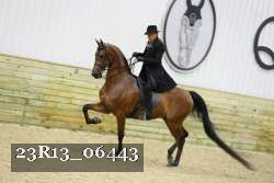 23R13_06443 thumbnail