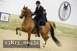 23R13_06452 thumbnail
