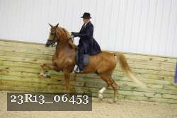 23R13_06453 thumbnail