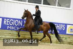 23R13_06454 thumbnail