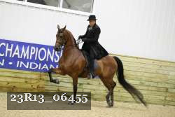 23R13_06455 thumbnail