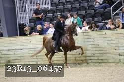 23R13_06457 thumbnail
