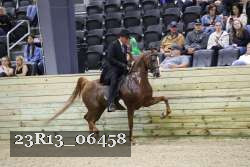 23R13_06458 thumbnail