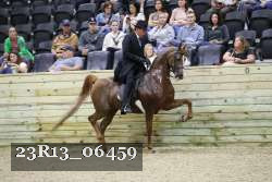 23R13_06459 thumbnail