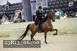 23R13_06460 thumbnail