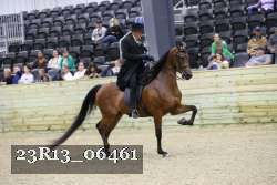 23R13_06461 thumbnail