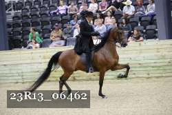23R13_06462 thumbnail