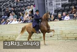 23R13_06463 thumbnail