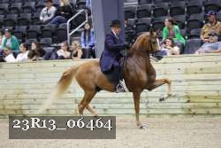 23R13_06464 thumbnail