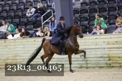 23R13_06465 thumbnail