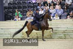 23R13_06466 thumbnail