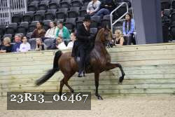 23R13_06467 thumbnail