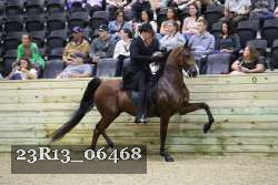 23R13_06468 thumbnail