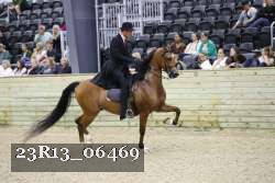 23R13_06469 thumbnail