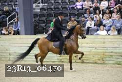 23R13_06470 thumbnail